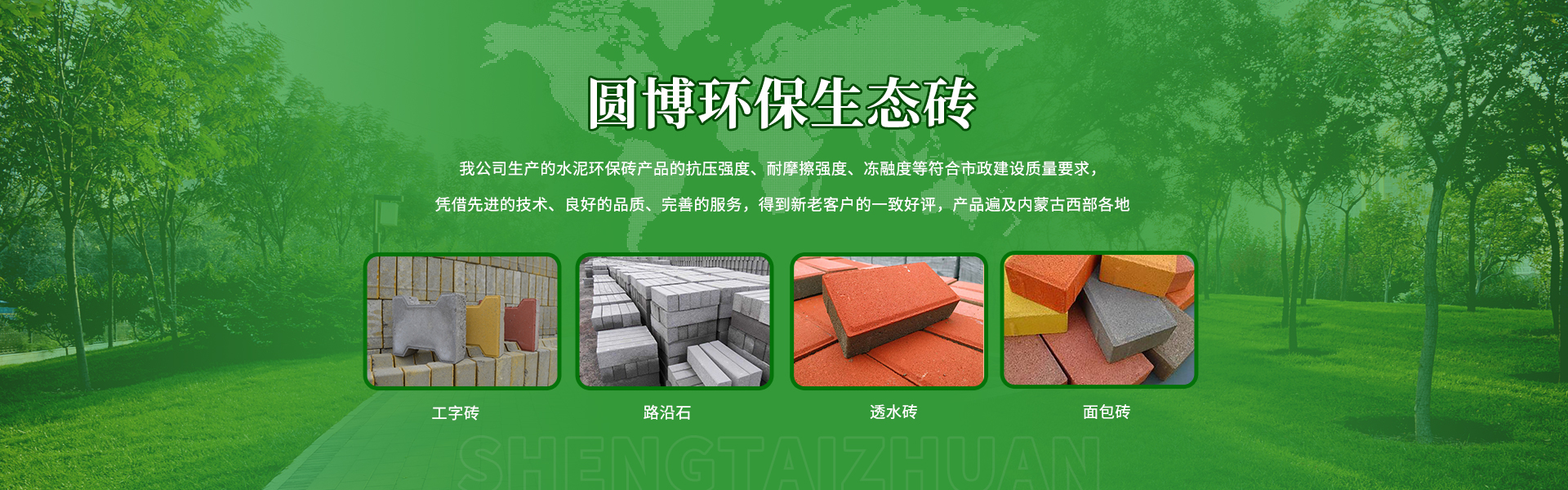 新聞動態(tài)